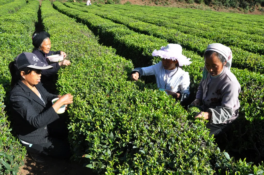 Fotó: Yang Wenbin Xinhua / Eyevine / Northfoto 
