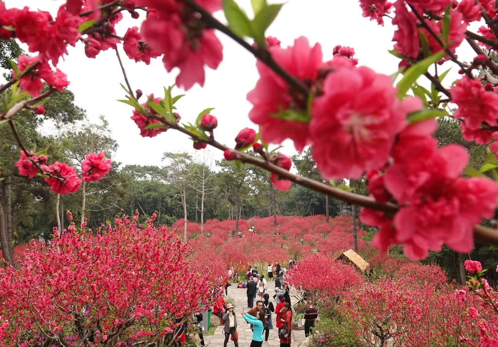 Forrás: Xinhua via AFP/Xinhua News Agency.All Rights Reserved/Yu Xiangquan