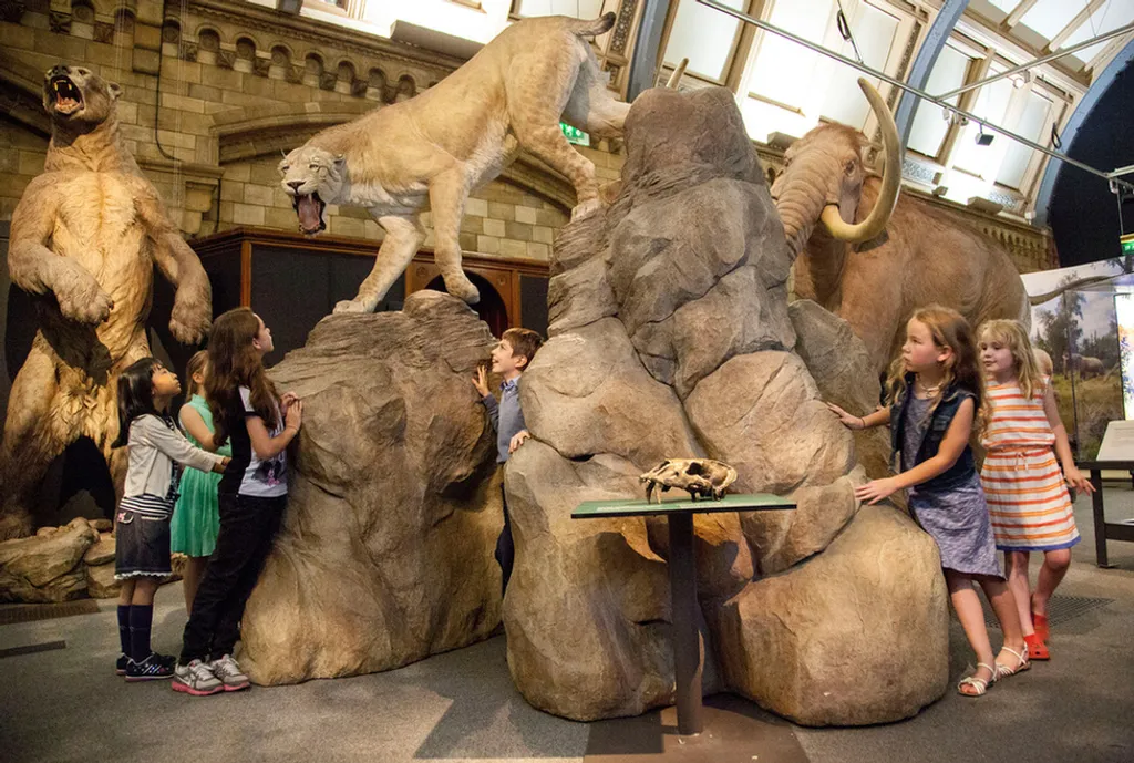 Fotó: Kevin Webb/nhm Image Resources / Natural History Museum 