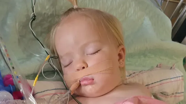 Pár másodpercre fordult el - kislányát szétarapta egy csörgőkígyó