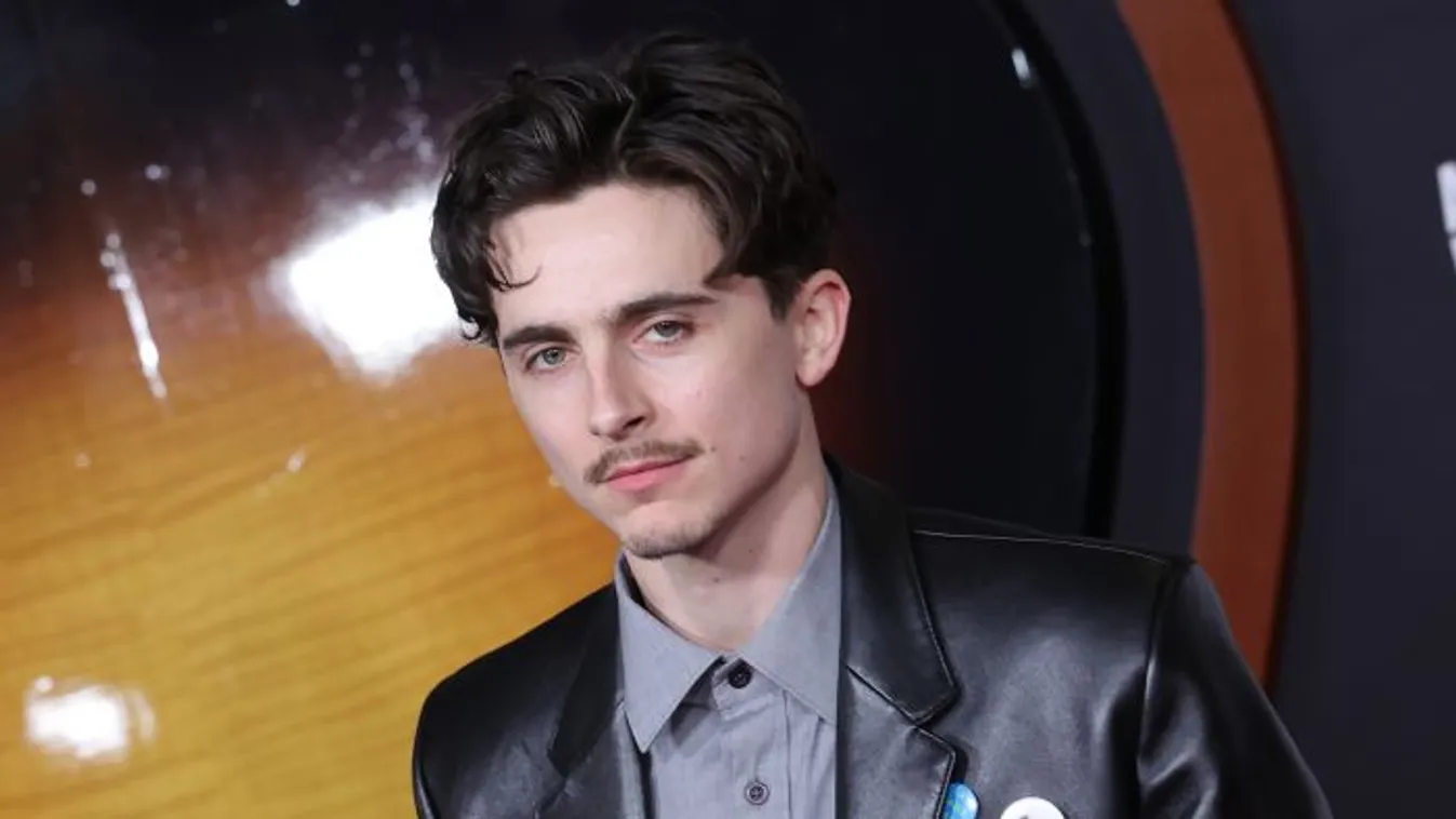Isten meghallgatta az imáidat: házhoz jön Timothée Chalamet, mutatjuk mikor érkezik!