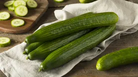 Az uborka frissen tartásához ezekre figyelj nagyon!