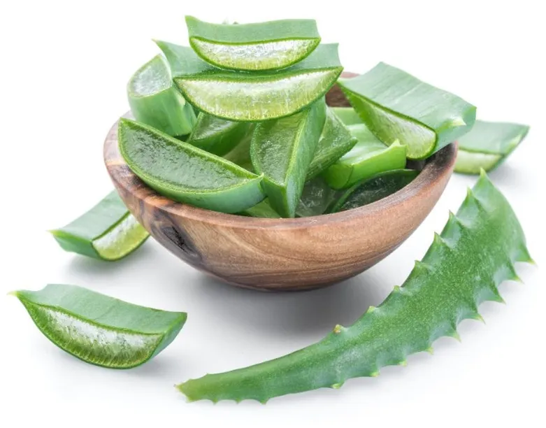 aloe vera