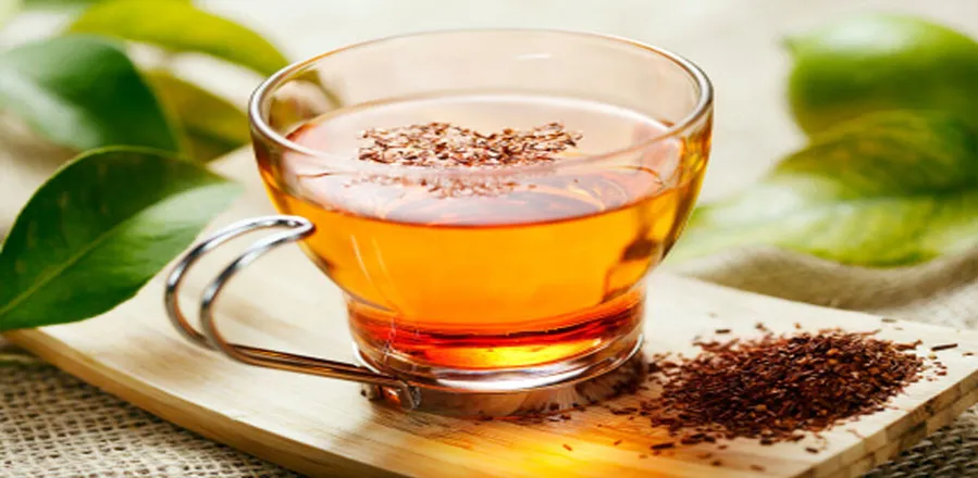 rooibos-tea