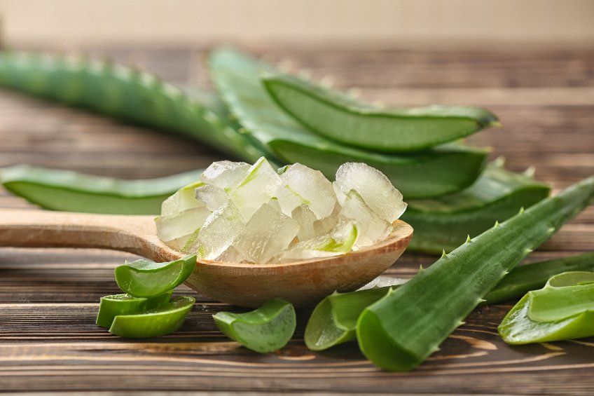 aloe vera