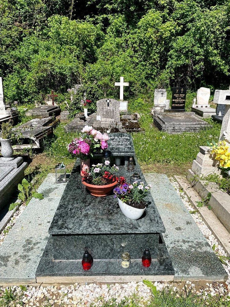Pécsi Ildikó