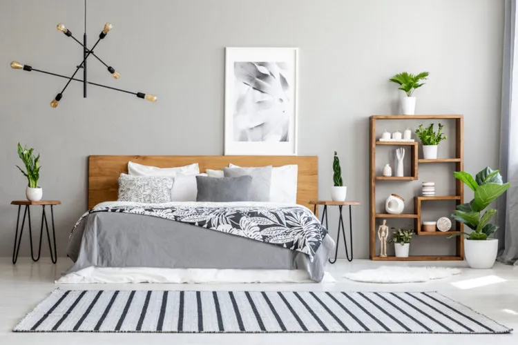 Striped carpet near bed with patterned blanket in bedroom interior with poster and plants. Real photo