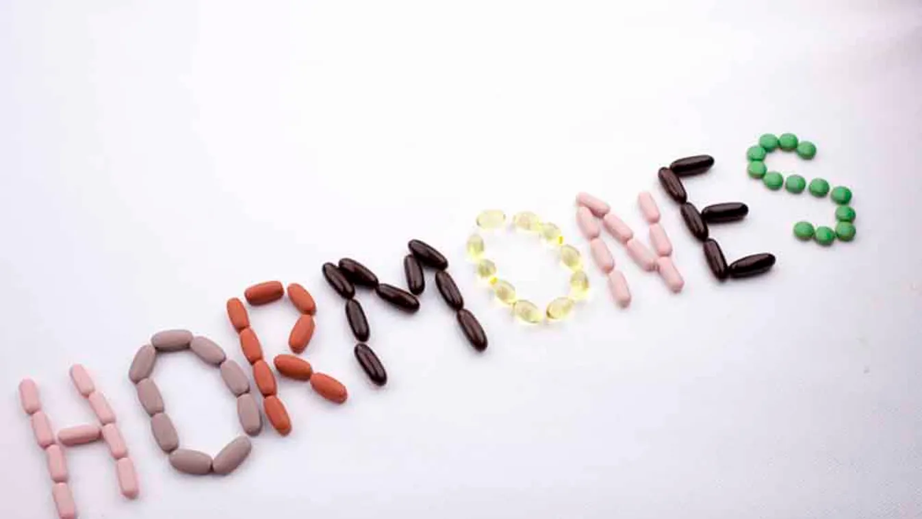Ezek a hormonok állnak az álomalak útjában