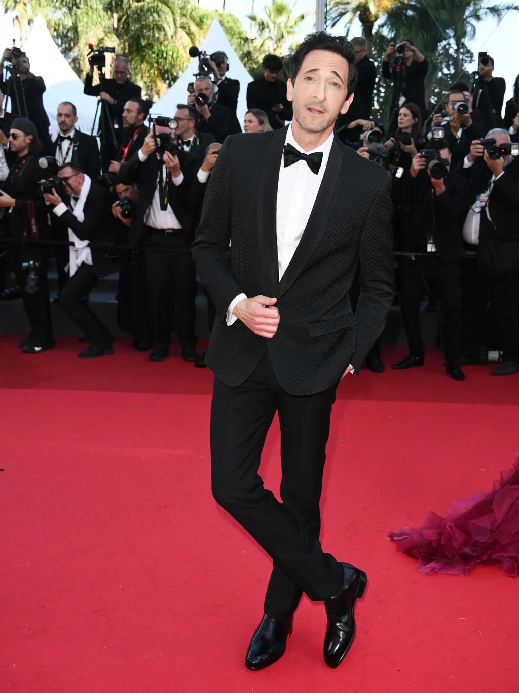 Cannes, 78th Cannes Film Festival 2025 - Evening 8 - Red Carpet of the film “Vie Privè (A Private Life)”. In the photo Adrien Brody