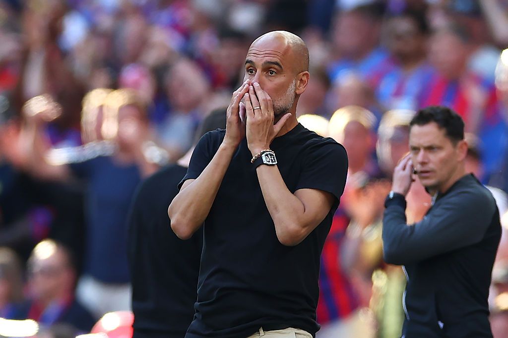 Crystal Palace v Manchester City - Emirates FA Cup Final