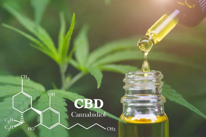 CBD olaj
