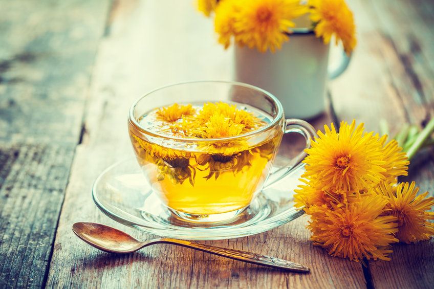 gyermekláncfű, pitypang, gyógynövény tea