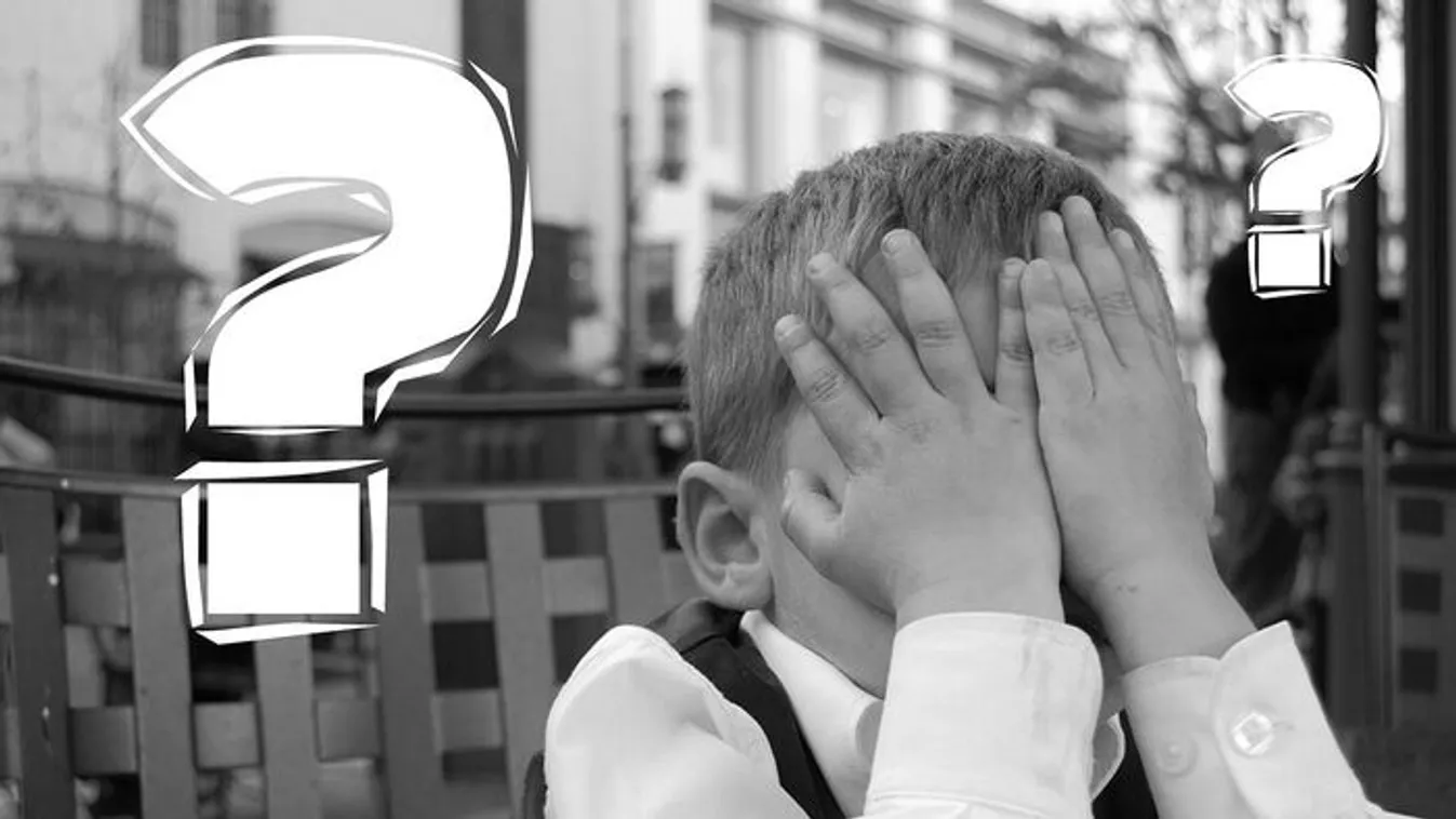 Lehetetlen IQ-teszt: zseni vagy, ha helyesen tudsz válaszolni