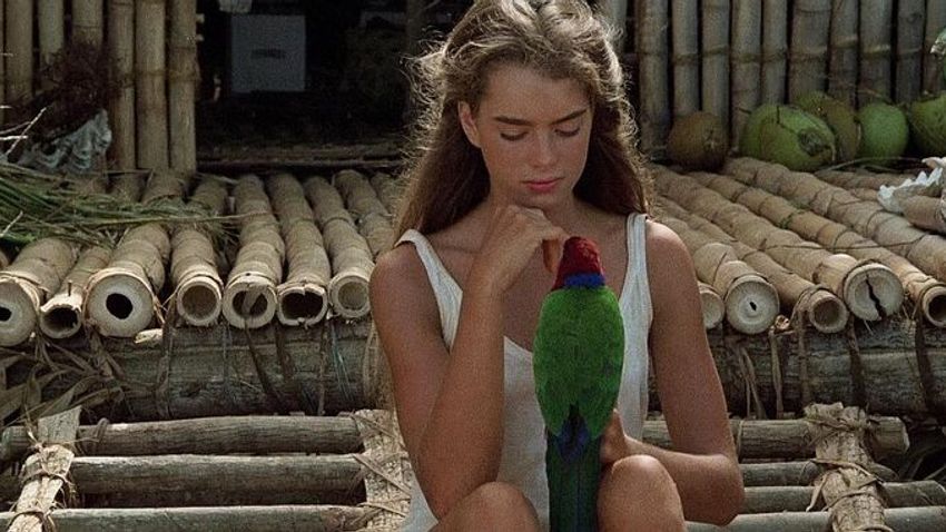 Brooke Shields 60 éves lett!