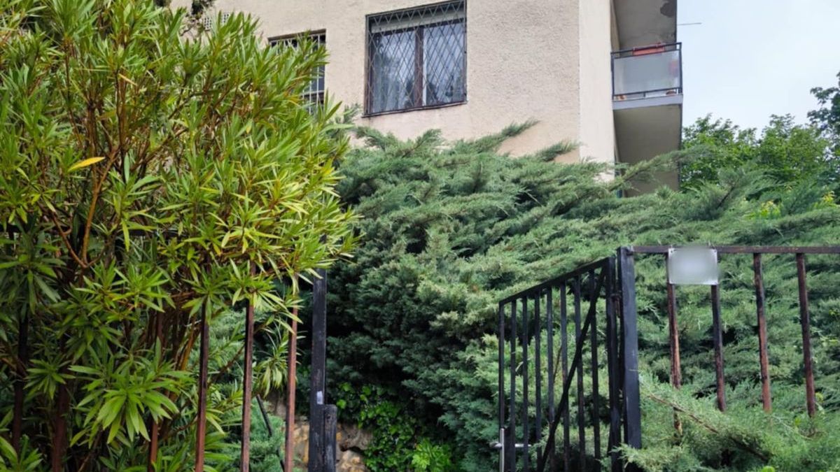 Kiderült, ki az a zenész, aki meggyilkolta a feleségét a II. kerületben – most ismert testvére szólalt meg