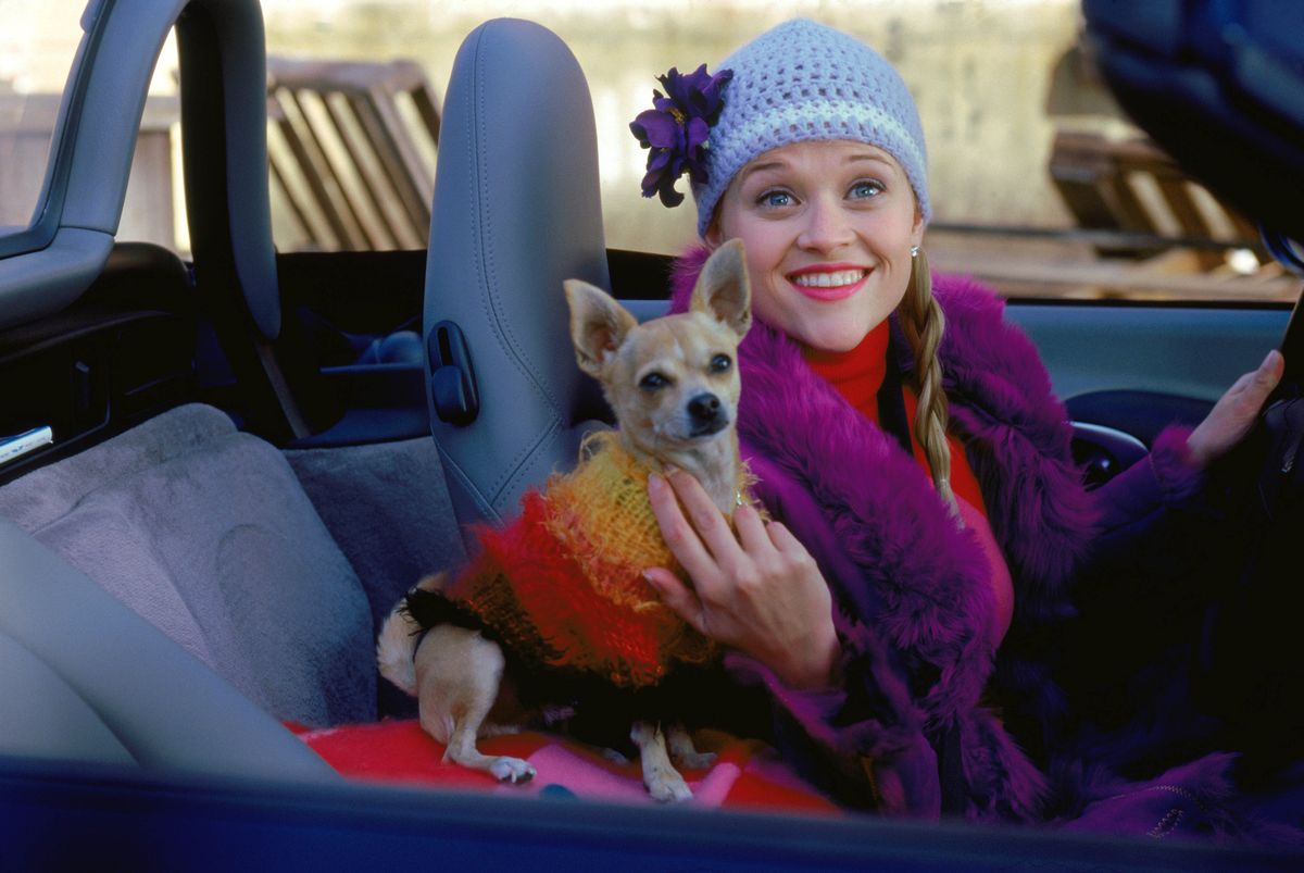 2001 - Legally Blonde - Movie Set, Doktor Szöszi
