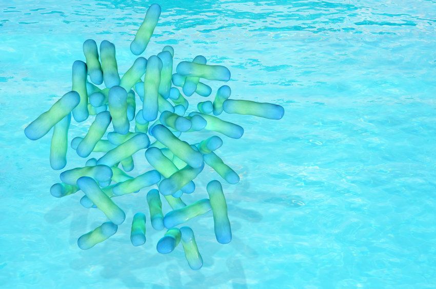 legionella, baktérium