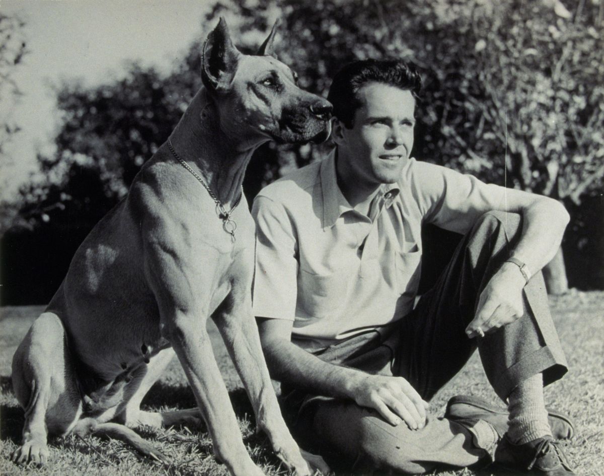 Actors With Animals, Henry Fonda