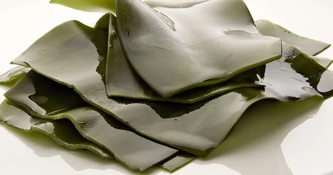 alga