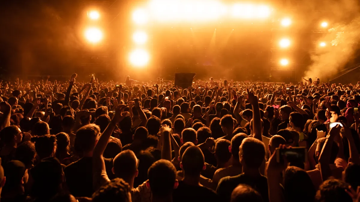 Rear view of audience on music festival at night.