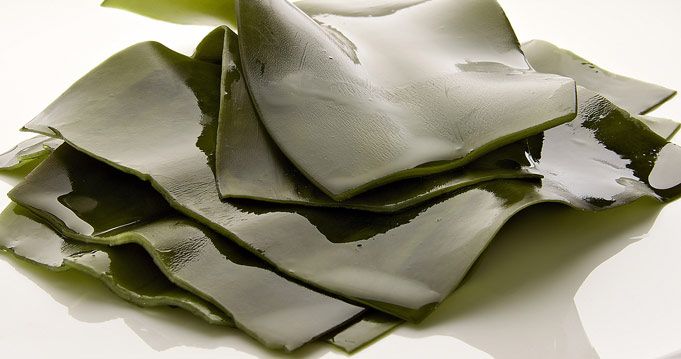 alga
