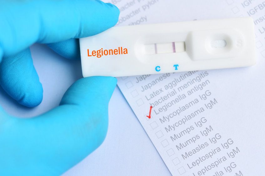 legionella, baktérium