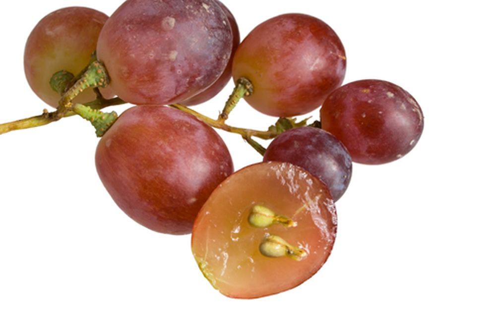 szőlőmag