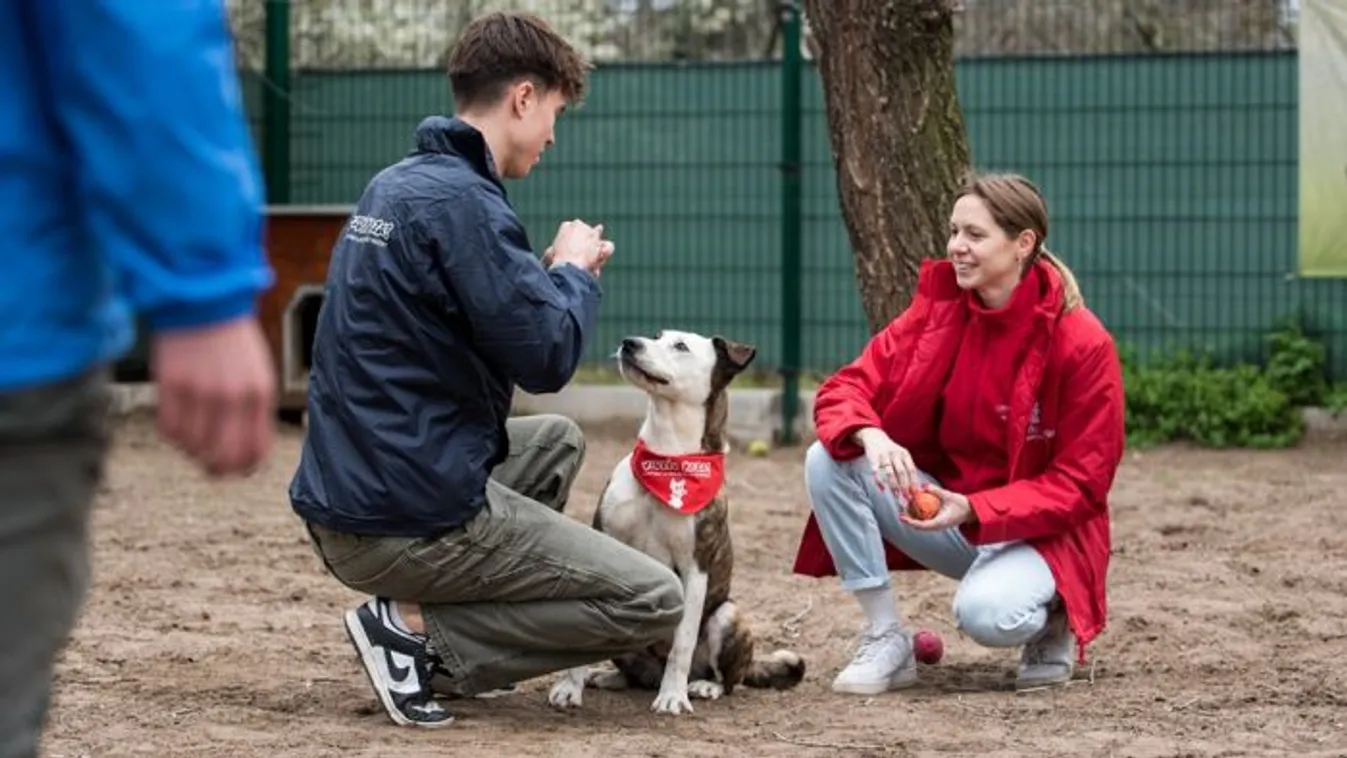 Kapás Bogi és a férje így segít az árva állatokon