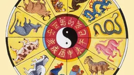 Mit mond a kínai horoszkóp az eszedről? Ezek a legintelligensebb jegyek