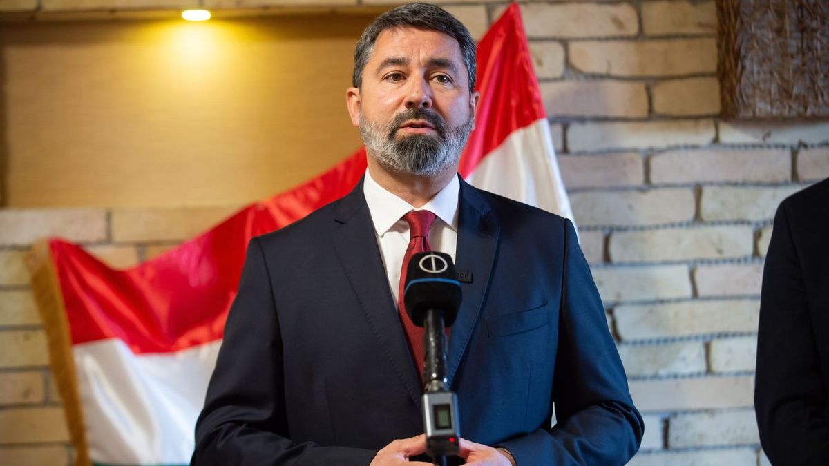 Nagyon jót nevetett Hidvéghi Balázs Magyar Péter "nagy leleplezésén"