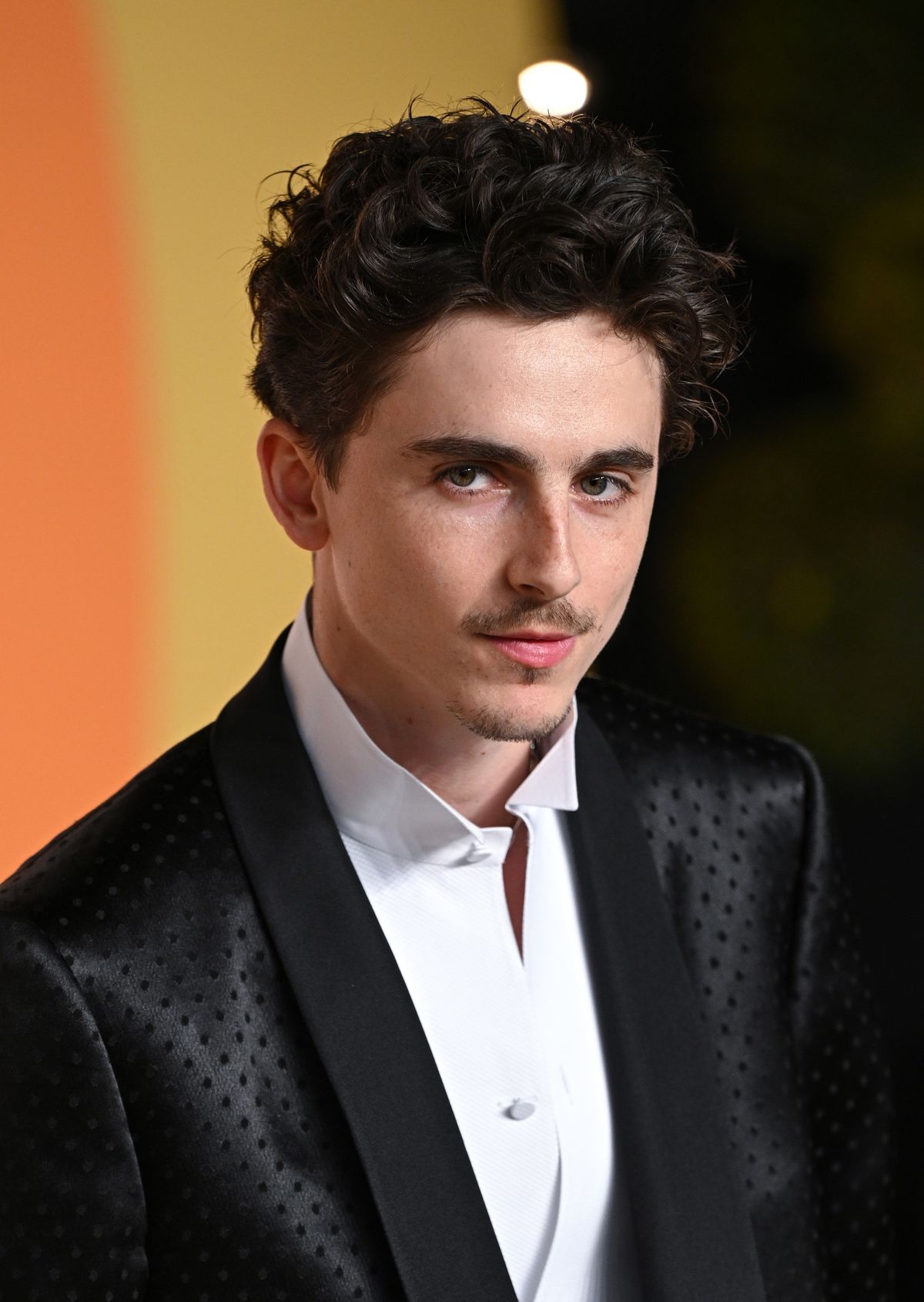 Vanity Fair Oscar Party