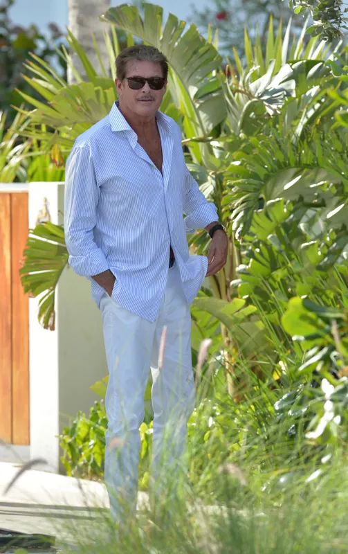 David Hasselhoff Mexikóból hazaérkezve, kerekesszékben közlekedett a Los Angeles-i reptéren