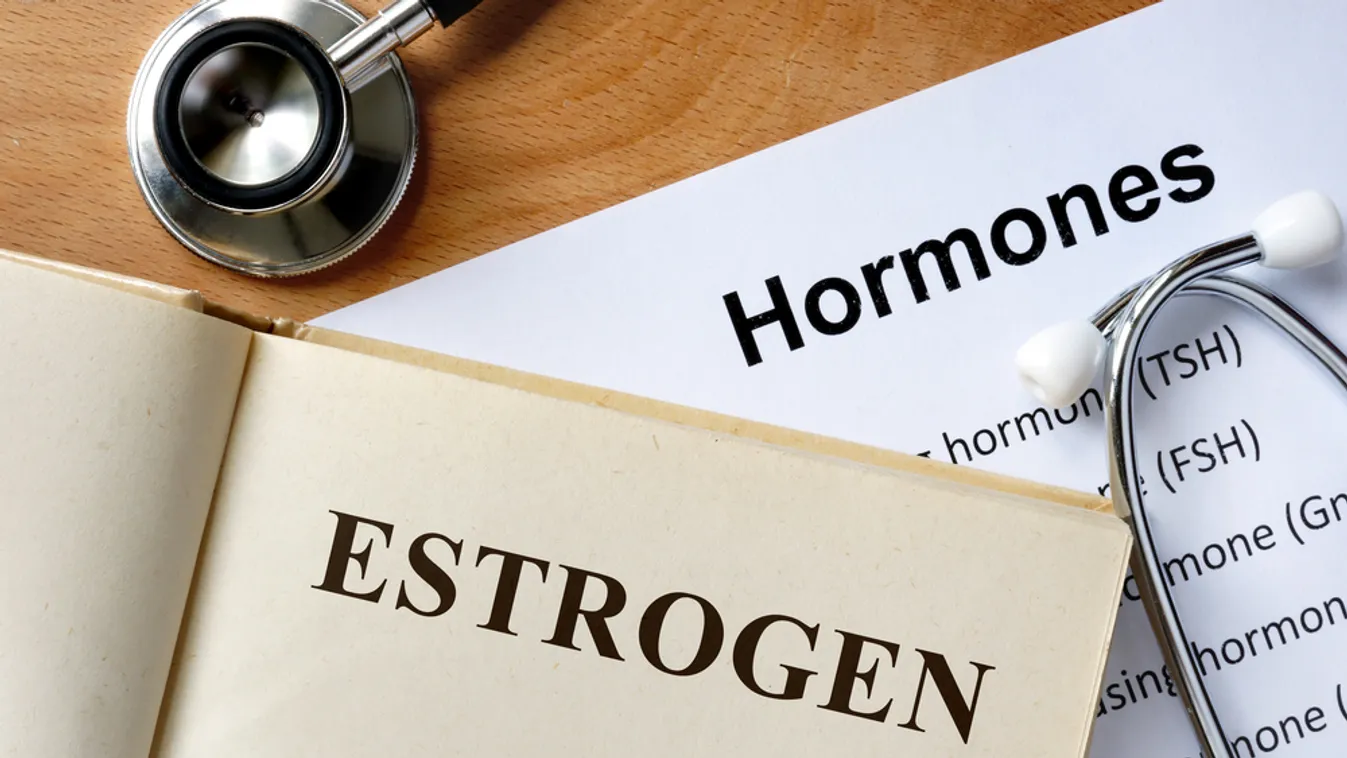 Magunkra hoztuk a bajt: mit tehetünk az ösztrogéndominancia ellen?
