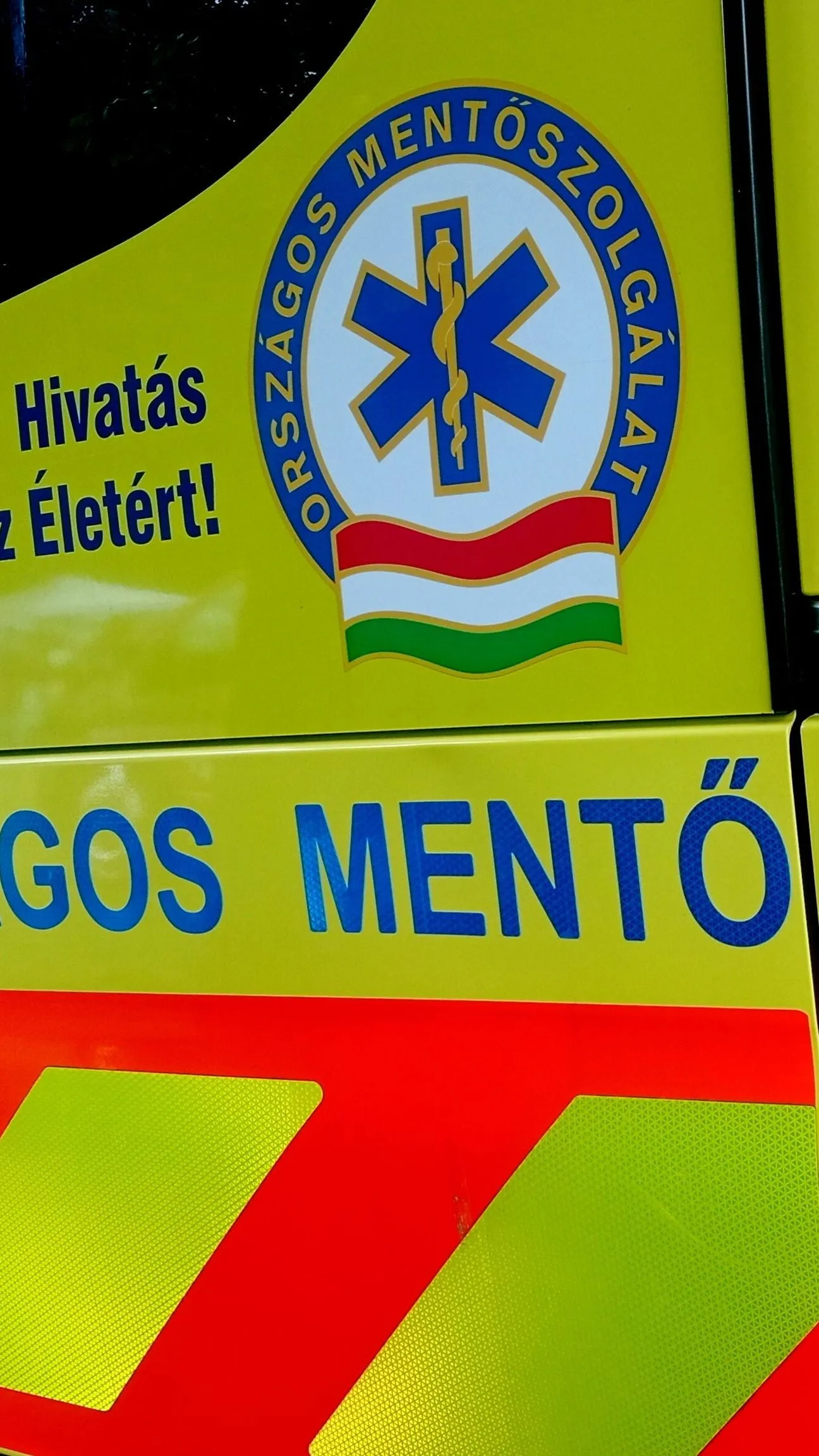 Felébredt a kómából a 13 éves Noel