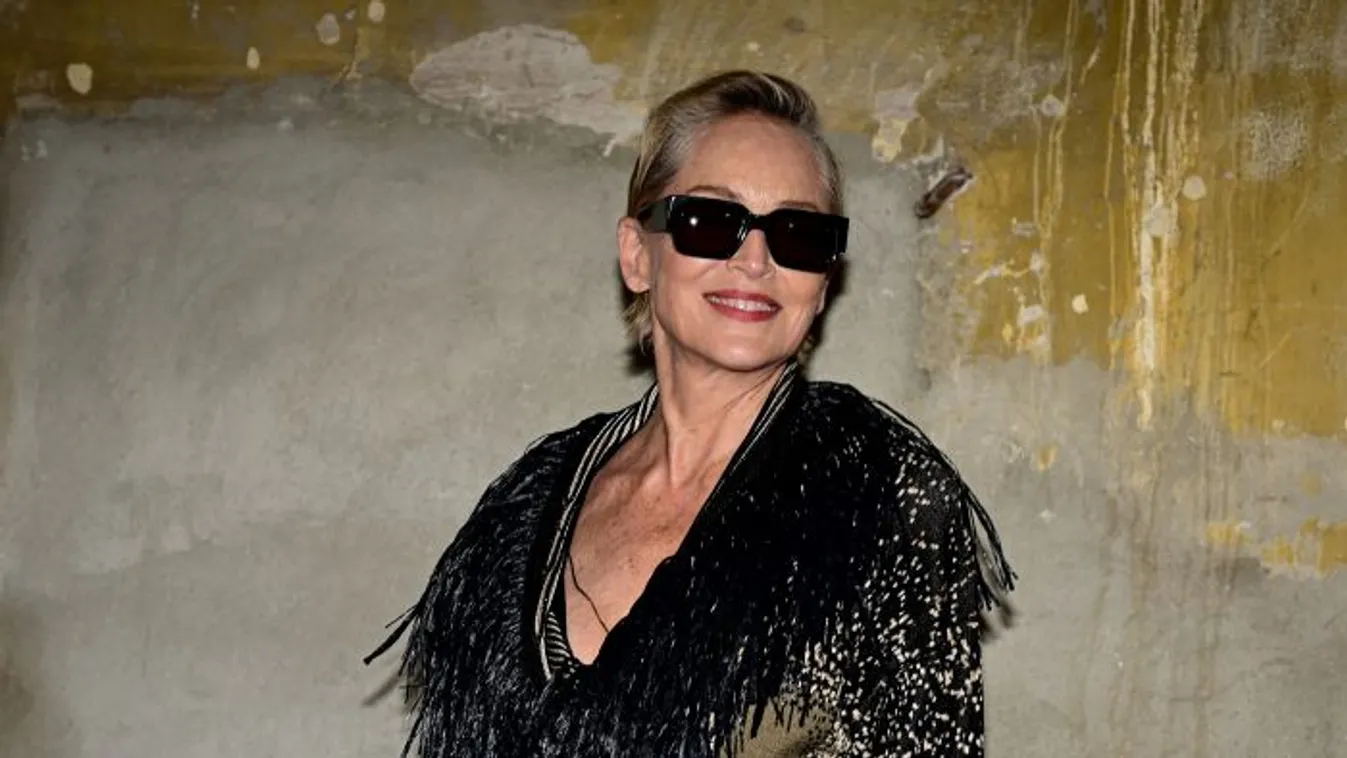 Te is bedőltél neki, átverés volt Sharon Stone zseni-IQ-ja