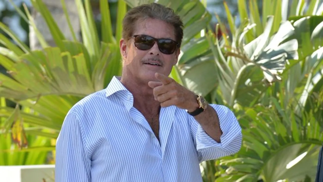 Nagy a baj! Kerekesszékbe került David Hasselhoff