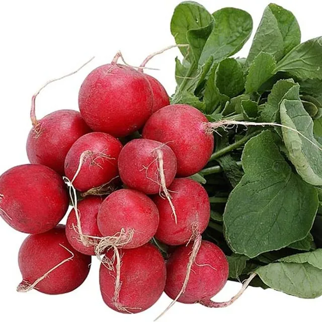retek5