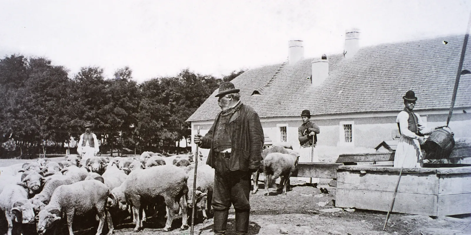 Nyelvzseni vagy, ha tudod, mit jelentenek a következő szavak