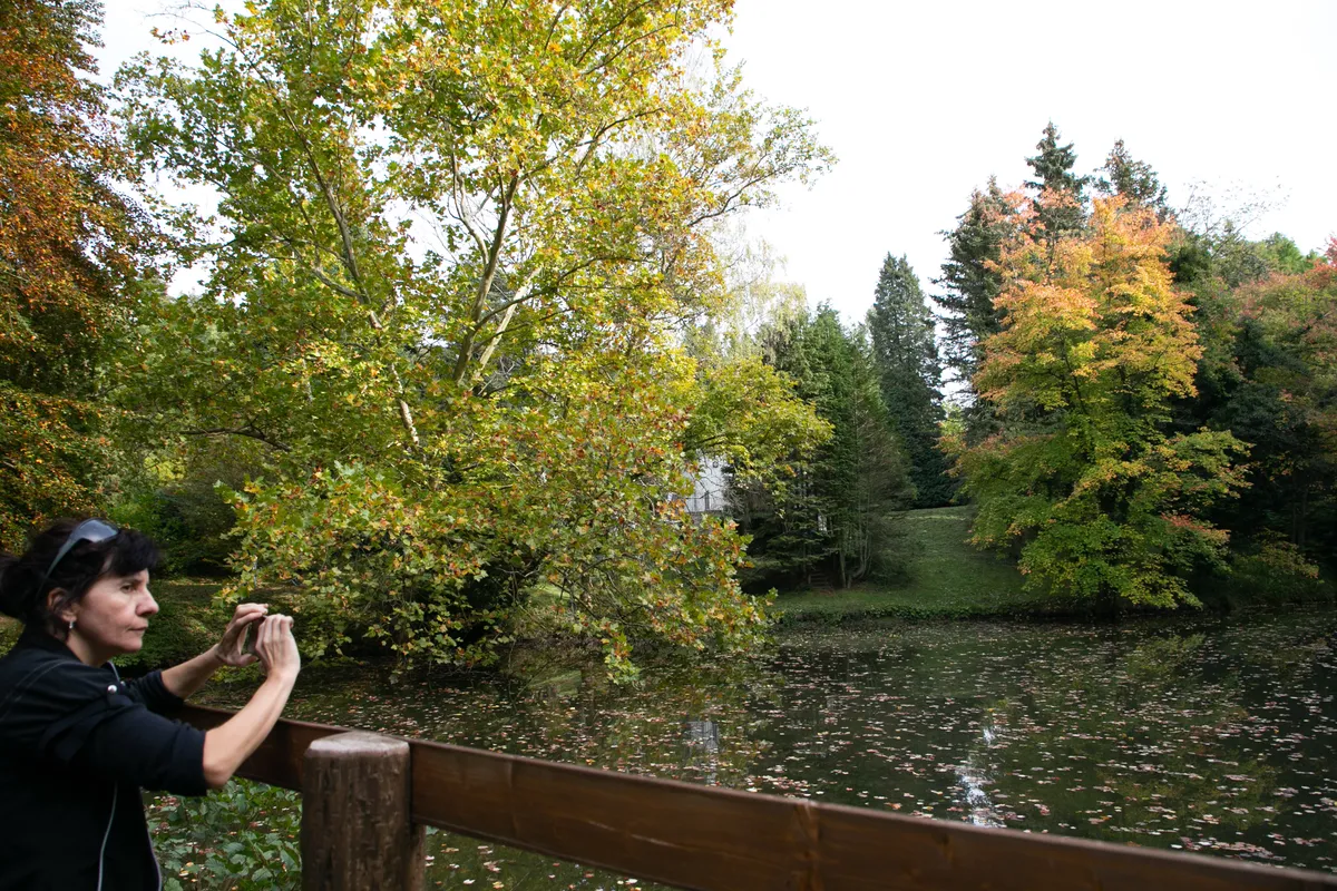 Tatai kirándulás, Agostyáni arborétum, városlátogatás