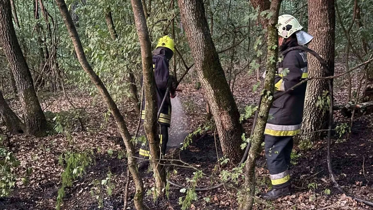 Lángok mindenütt: égtek az autók, tűz perzselte a magyar erdőt - Izzik a levegő a rekordmelegben
