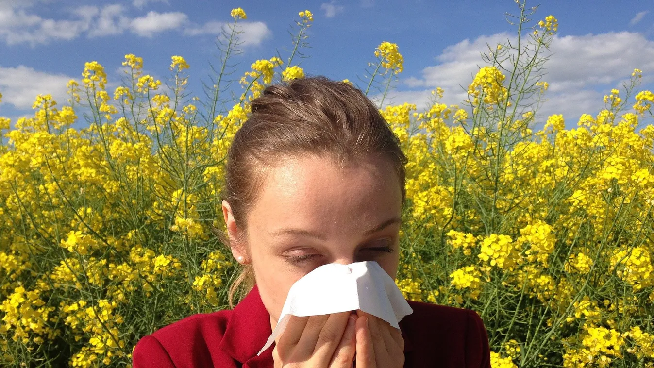 Tévhitek az allergiával kapcsolatban