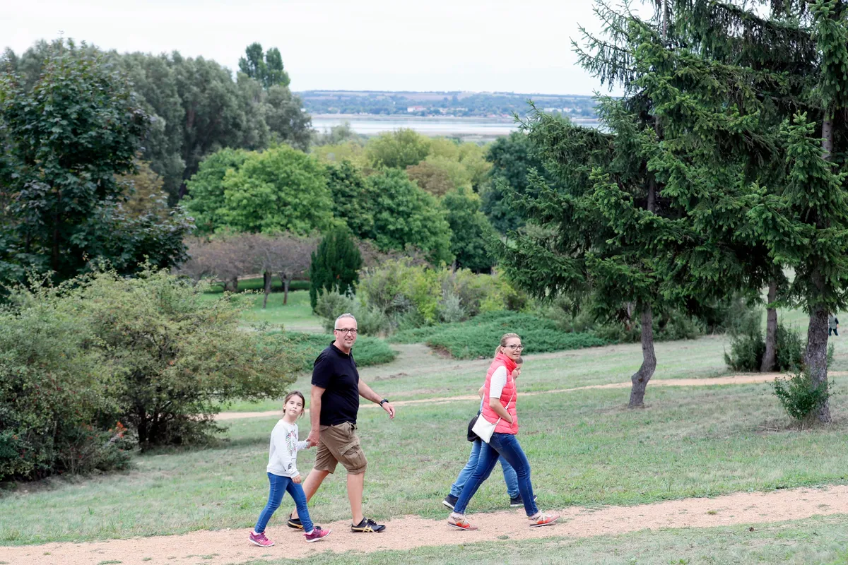 Top 5 látnivaló, Velencei-tó, pákozdi Pagony Vadaspark és Arborétum