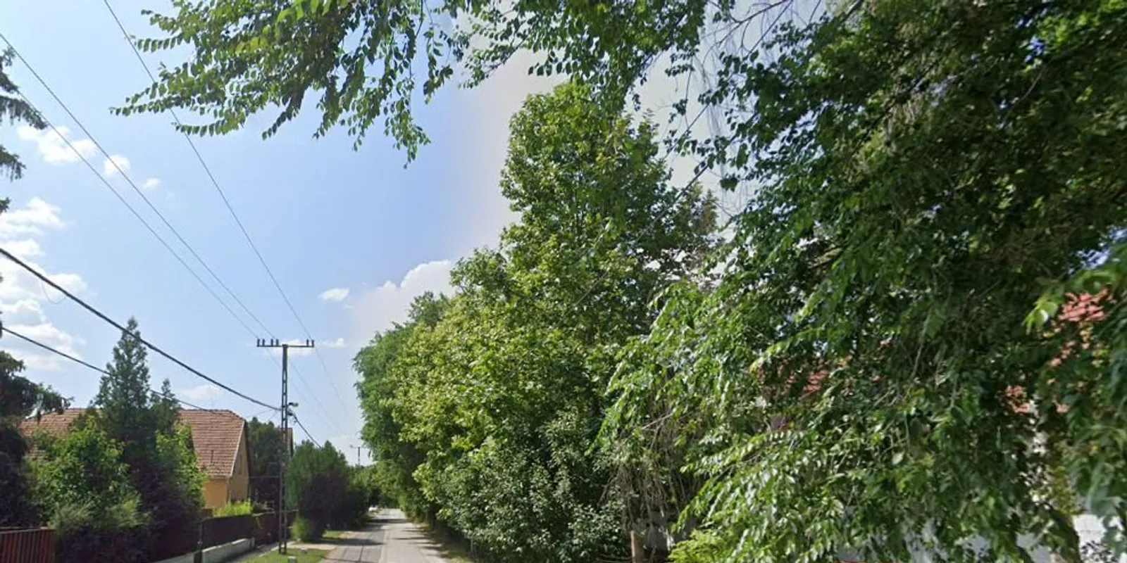 Rendőrségi sátor az úton: mi történt Nagykőrösön?