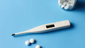 Halálos vírus szabadult el népszerű nyaraló helyeken: kilencen már belehaltak