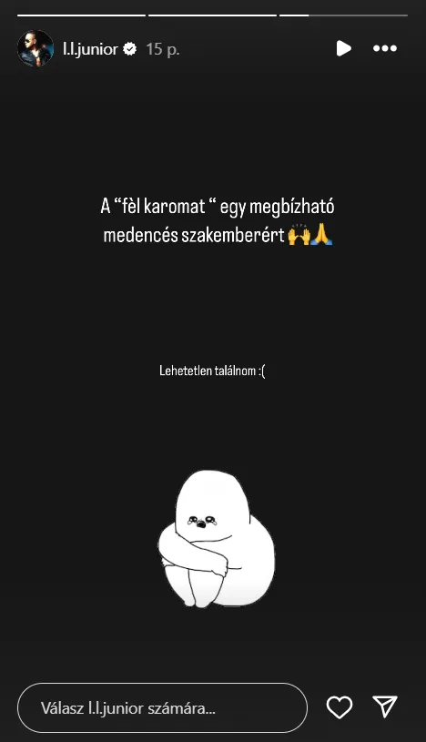 Úgy tűnik nem hétköznapi problémára keres szakembert L.L. Junior.