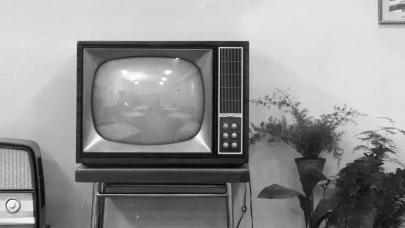 Retró tévés kvíz, amit csak a legjobbak tudnak kitölteni: neked vajon sikerül?