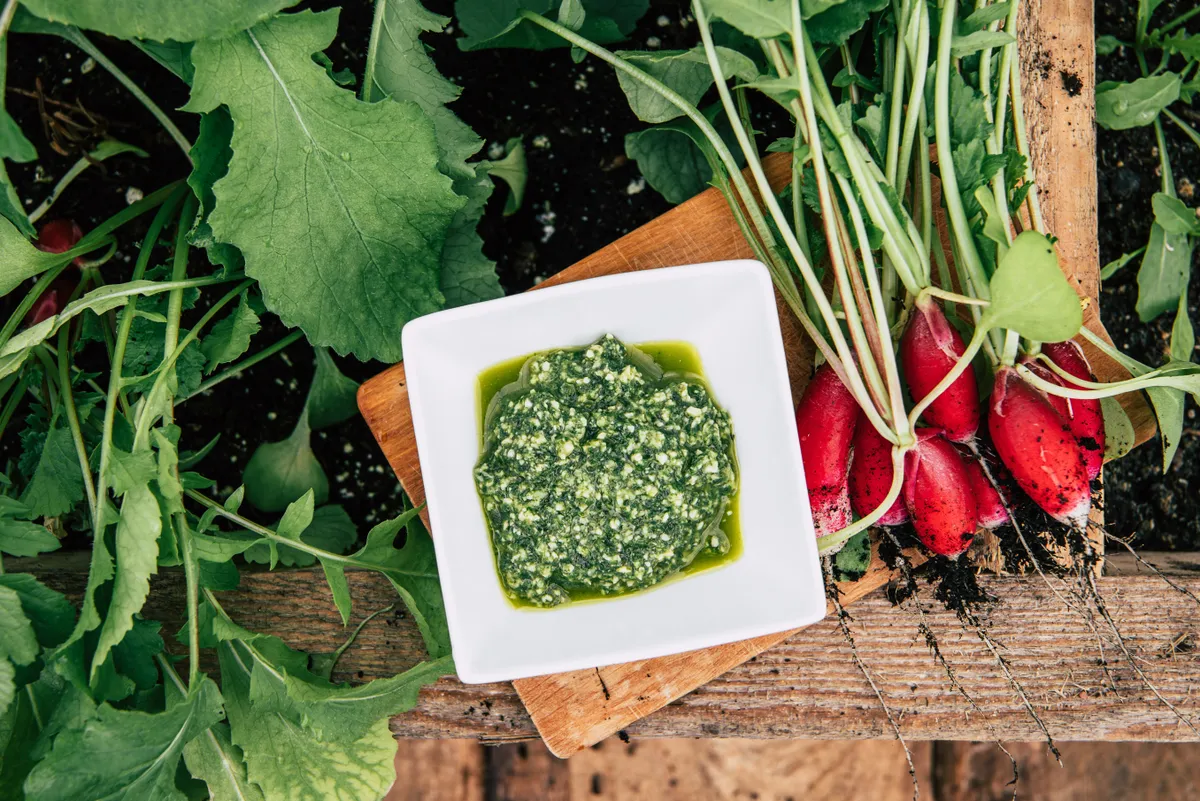 pesto reteklevélből