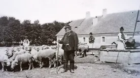 Valóságos nyelvzseni vagy, ha tudod, mit jelentenek a következő, régi szavak!