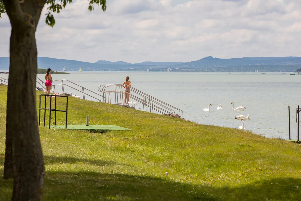 Zamárdi, szabadstrand, nyár, fürdés, hattyú