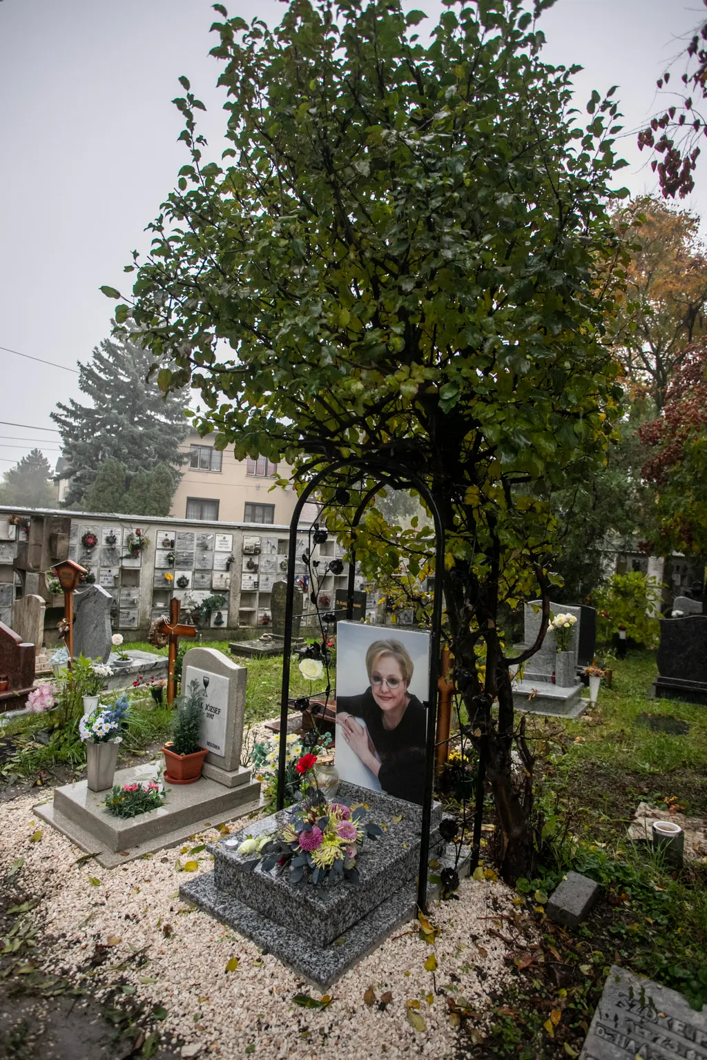 Cserháti Zsuzsa
